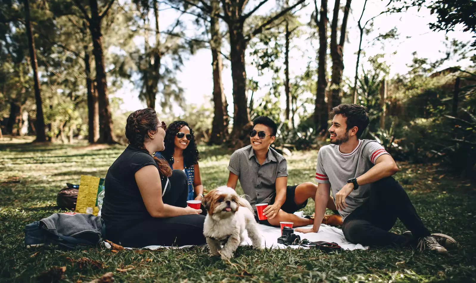 group of people having a picnic outdoors