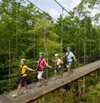 groups of people walking along suspended bridge