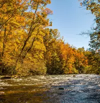 river surrounded by autumn colors