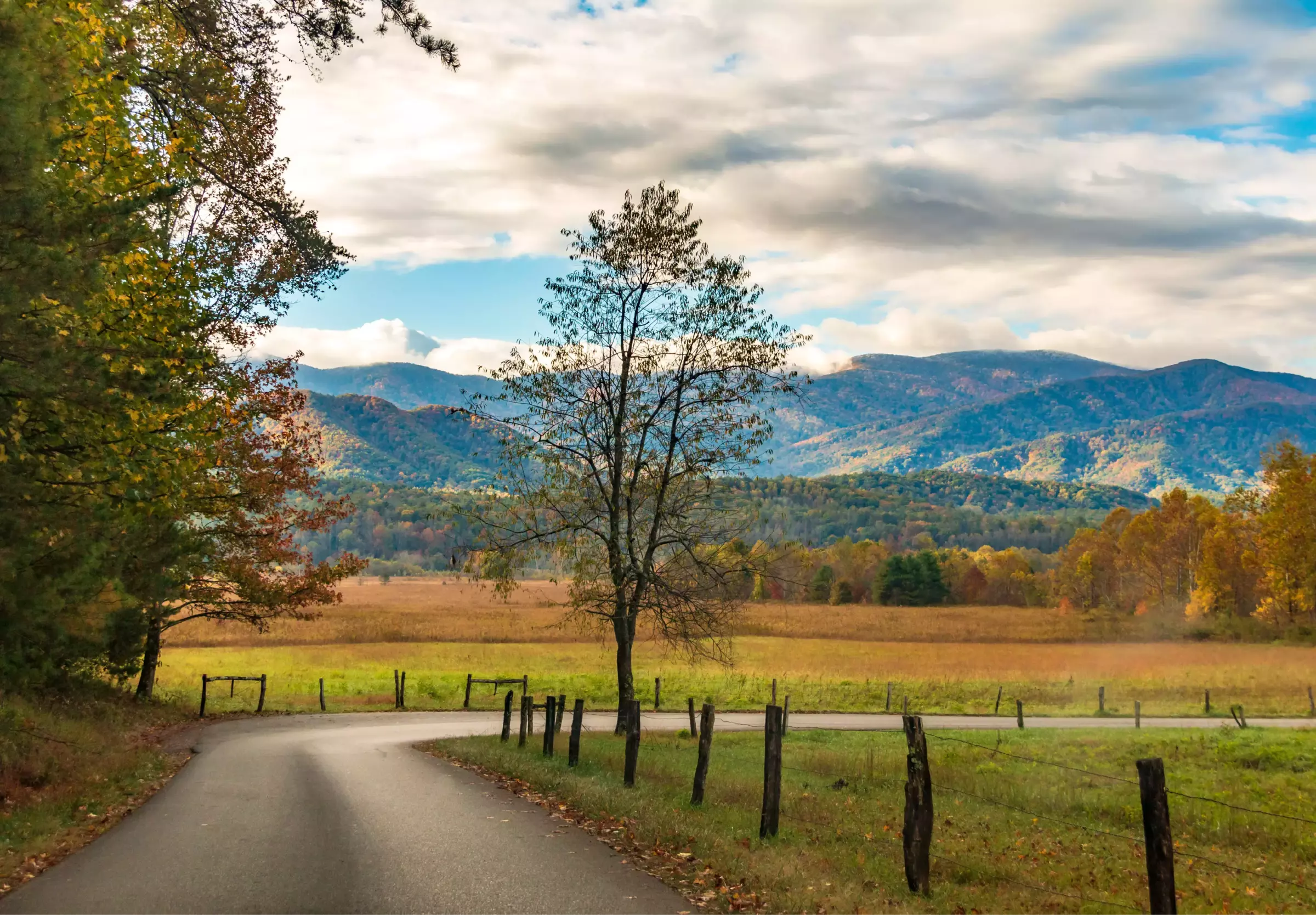 Cades Cove Loop Road