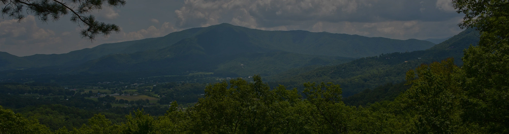 horse in a pasture surrounded by mountains