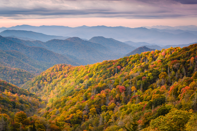 smokies-fall-foliage[1]