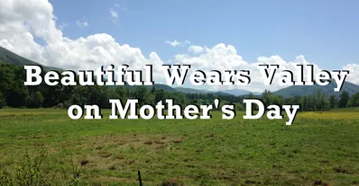 mother's day banner