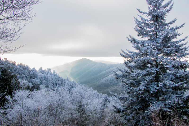 winter in the smoky mountains