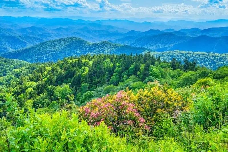 smokies spring view