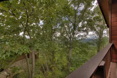Peek-A-View 23