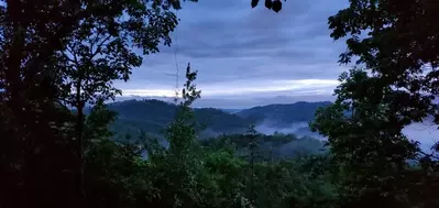 Peek-A-View 35