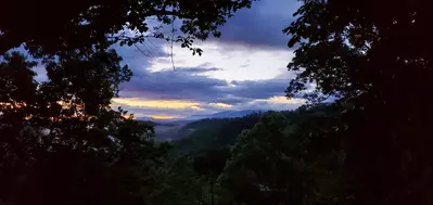 Peek-A-View 36
