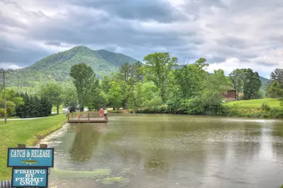1 Up In Smokies 31