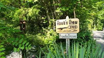 Hawk's View 33