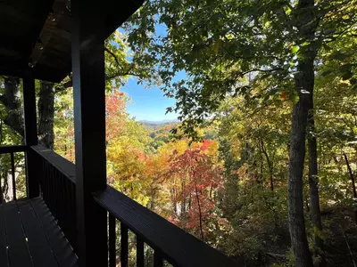 Peek-A-View 38