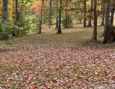 Shady's Barn 18
