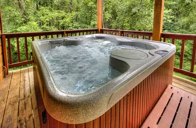 Bear Retreat 42