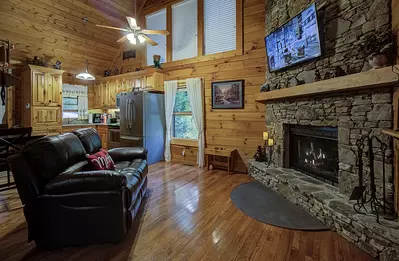 Teddy Bear Haven 7