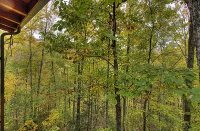 Teddy Bear Haven 18