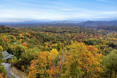 Up In Smokies 43