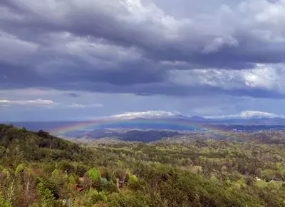 Up In Smokies 44