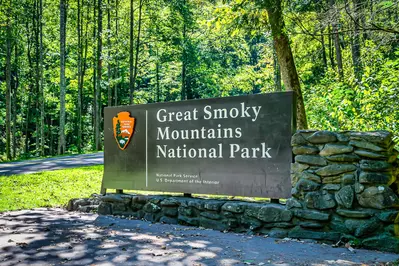 Up In Smokies 57