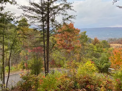Mountain Mist 22