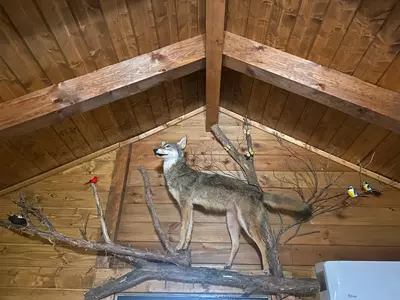 Gettin' Cozy 9