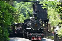 dollywood train ride