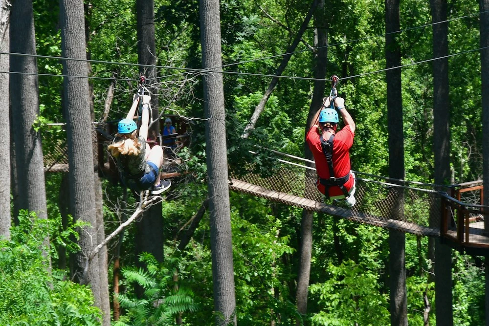  what to do at anakeesta