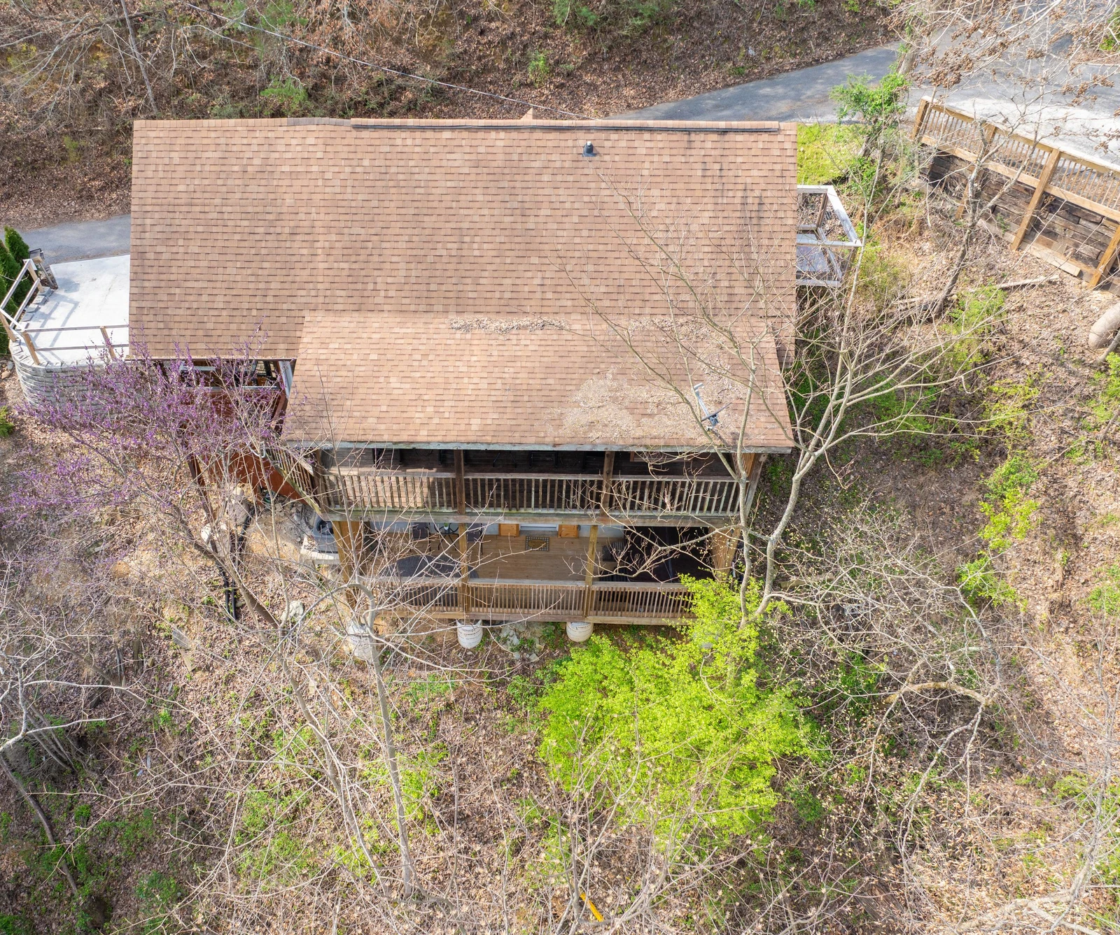 Treetopia Ridge Cabin