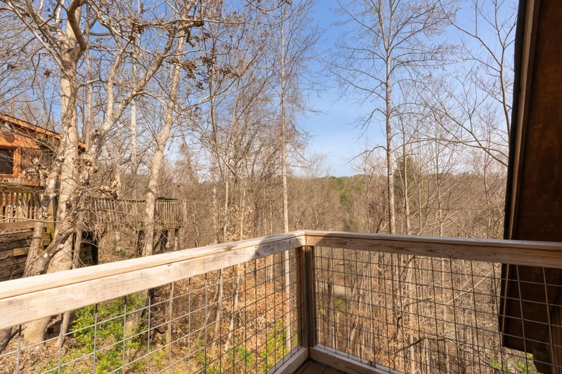 Treetopia Ridge Cabin