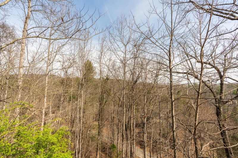 Treetopia Ridge Cabin