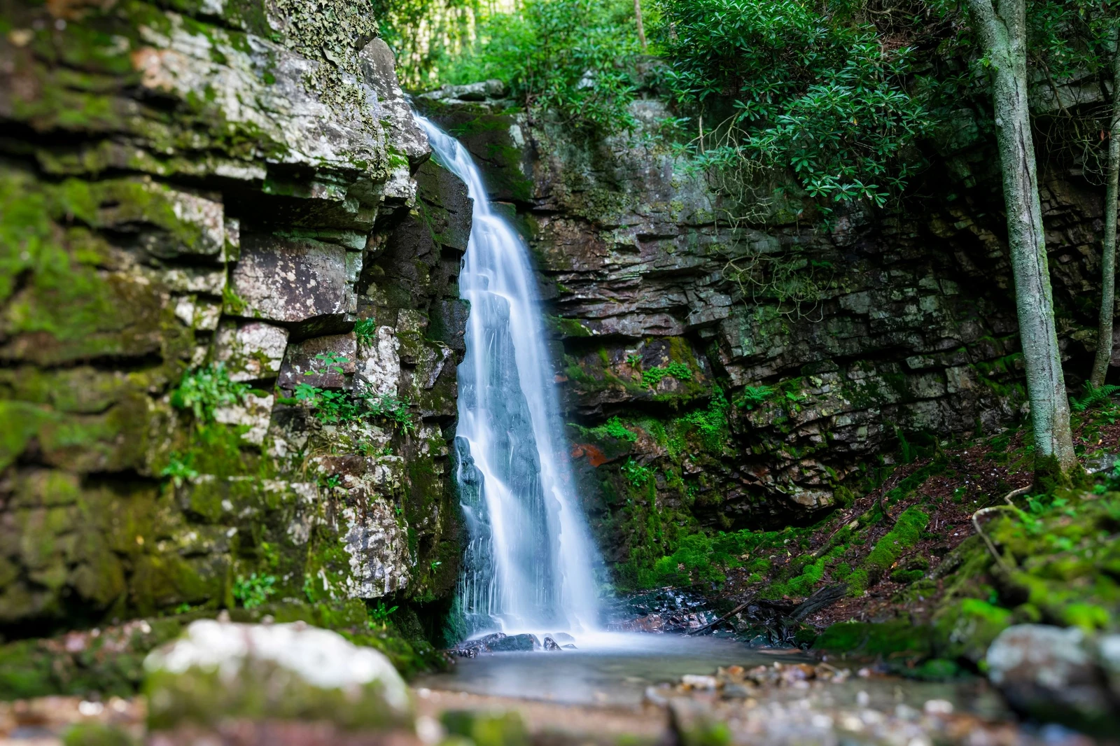 shutterstock_2488692521